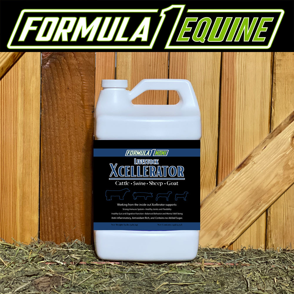 F1 Xcellerator gallon