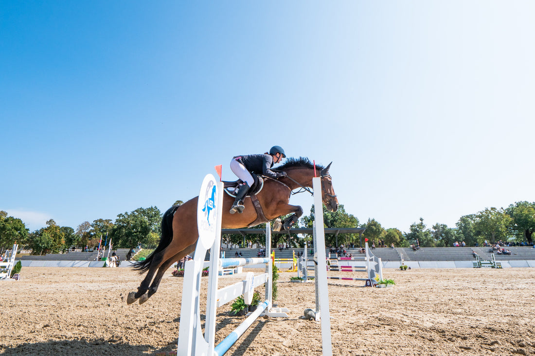 Safeguard Your Horse's Joints with Equine Hyaluronic Acid