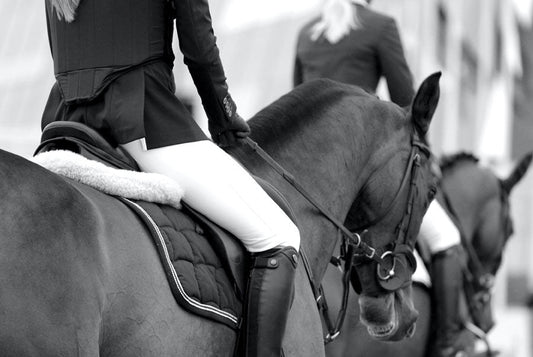 What is MSM, and how does it benefit horses?