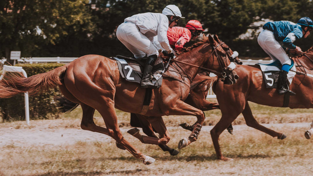 Using Hyaluronic Acid for Horses' Healthy Joint Function