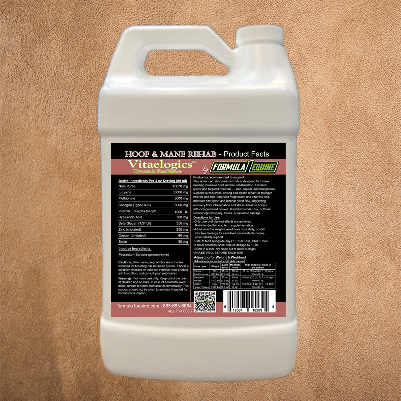 Hoof & Mane Rehab