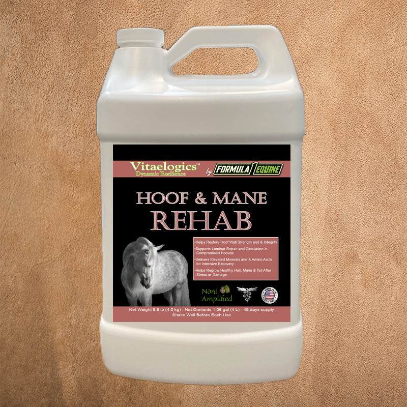 Hoof & Mane Rehab