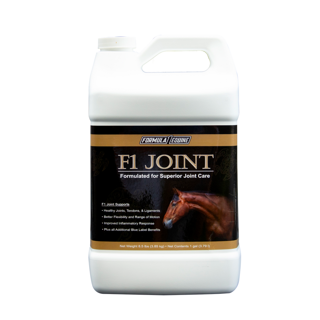 horse joints supplement