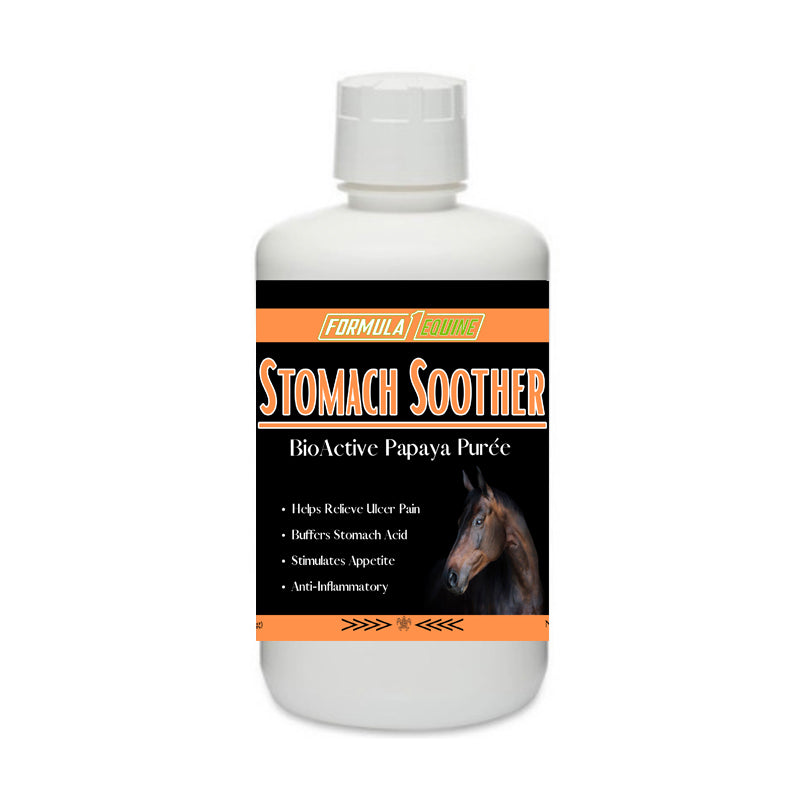 equine stomach soother