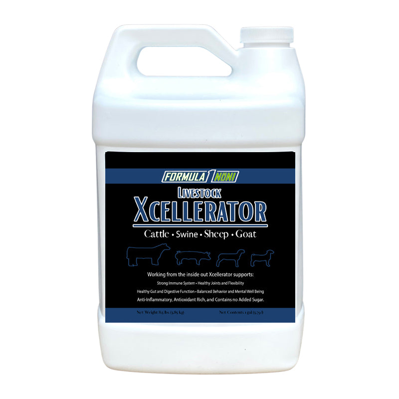 livestock xcellerator supplement